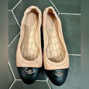 VEUC Coach leather flats